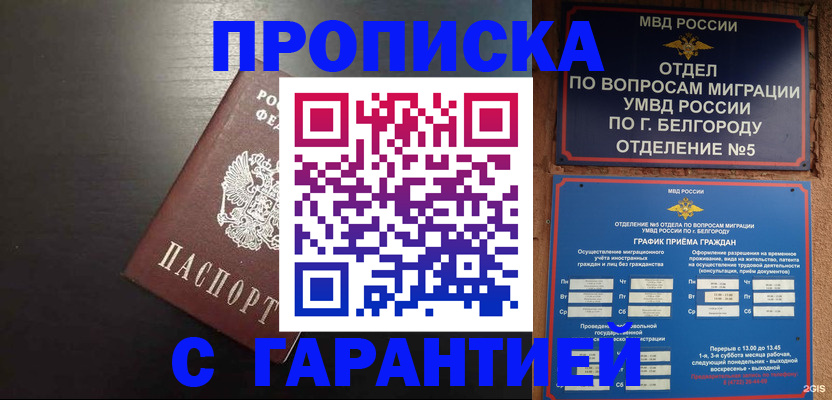 временная регистрация адрес в Курске